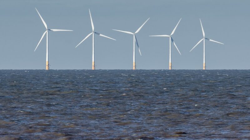 Arrêt complet parc éolien en mer France