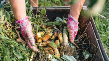 déchets agricoles