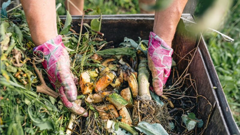 déchets agricoles
