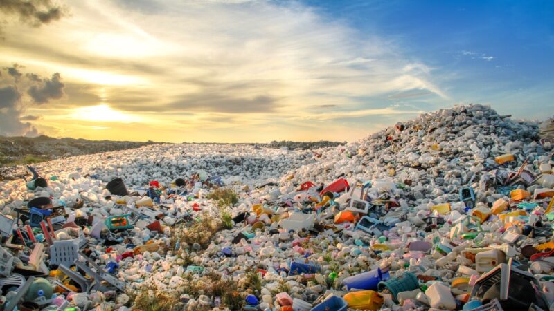 trésors dans les déchets